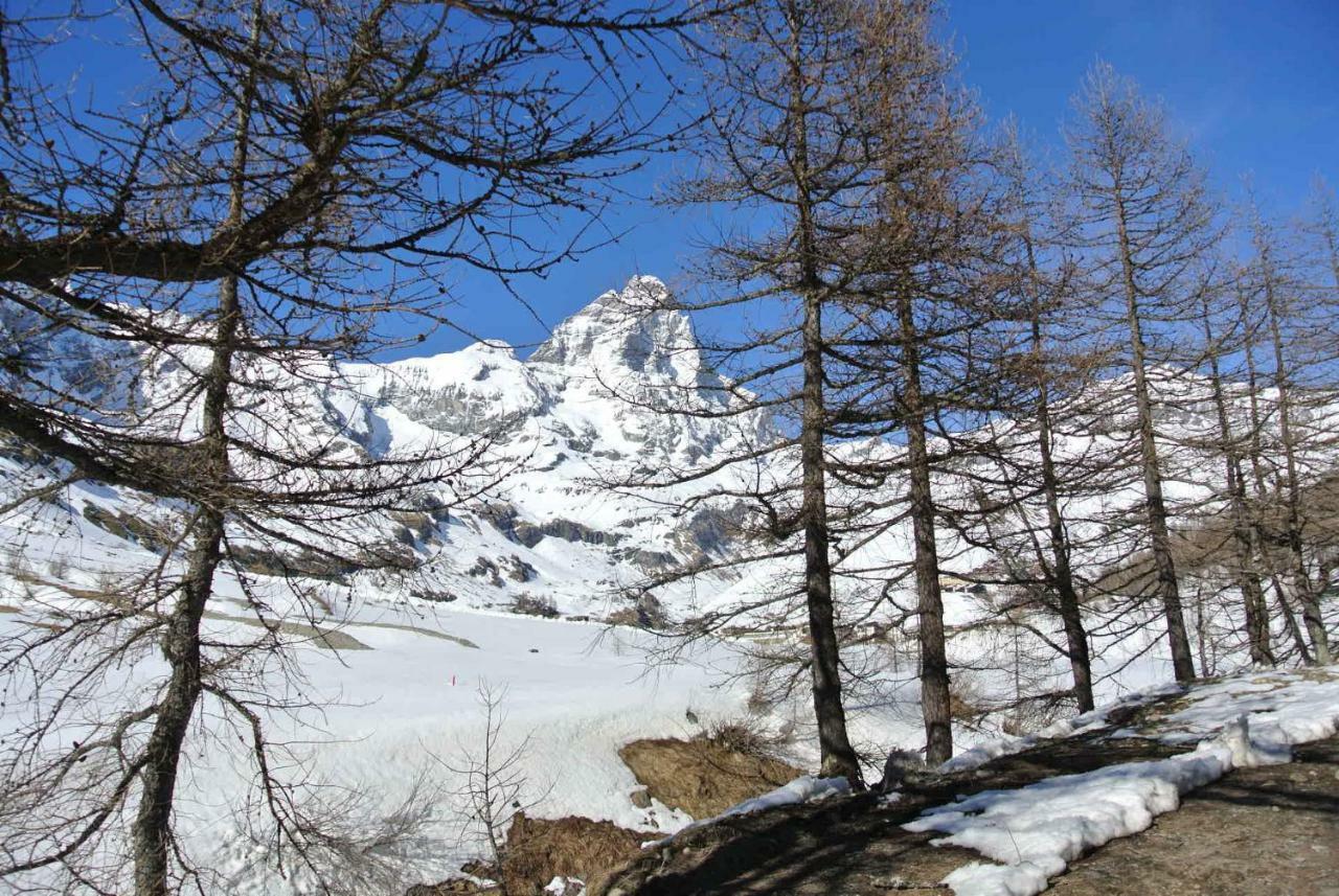 President Palace - Breuil Cervinia -Appartamento 6 - Cir 0634 Exterior photo